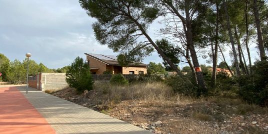 TERRENO EN VENTA EN CAMINO DELS MUNTANYESOS, EL PLA DE SANTA MARIA